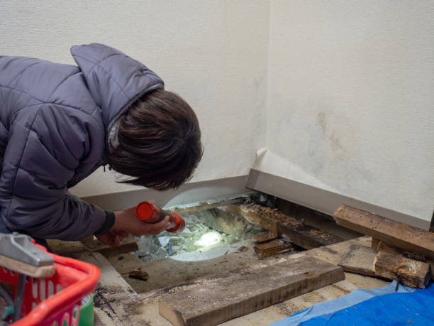 Best Post-Construction Mold Inspection  in Oakville, CT