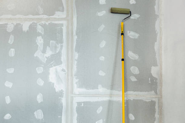 Best Black Mold Removal  in Oakville, CT