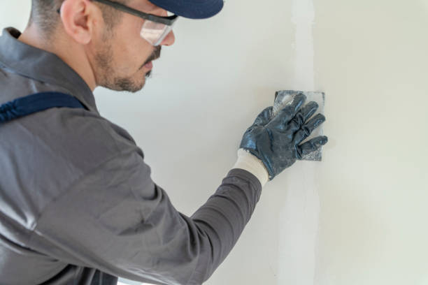 Best Basement Mold Removal  in Oakville, CT