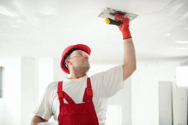 Best Mold Remediation for Healthcare Facilities  in Oakville, CT
